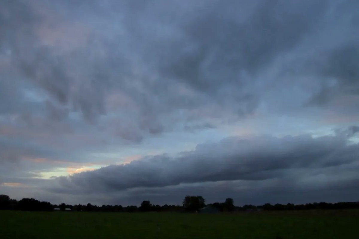 Rob Rokven tweet media