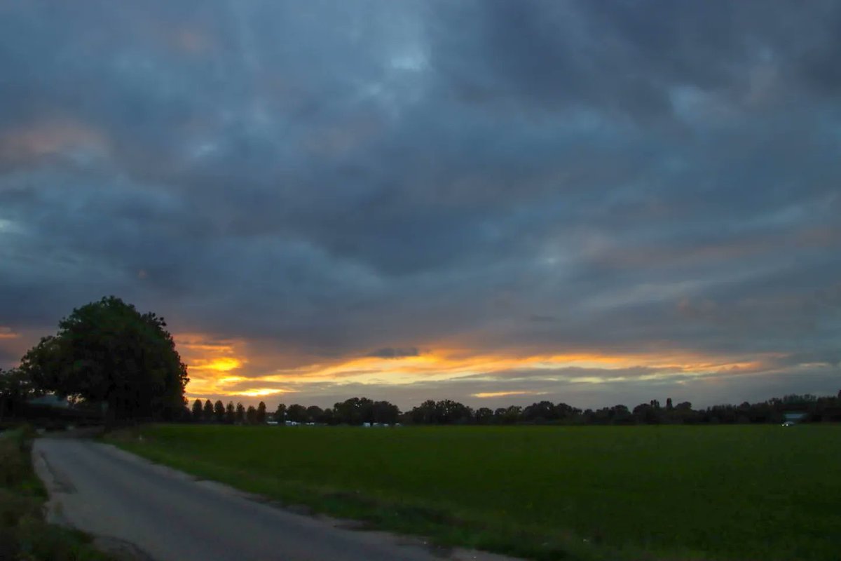 Rob Rokven tweet media