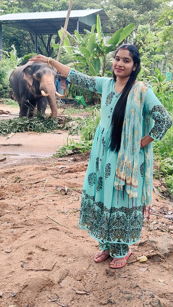 angel4frndship's tweet photo. Have you watched my new video yet? Exploring Kerala | Guruvayoor Devaswom Punnathurkotta Elephant Camp | Journey from LTT to Thrissur- https://t.co/uwcnNdHIiR
#explorekerala #keralatourism #keralaattraction #keralagodsowncountry #guruvayoor #elephant #dancingelephant #vlogger https://t.co/DPAiPWrObT