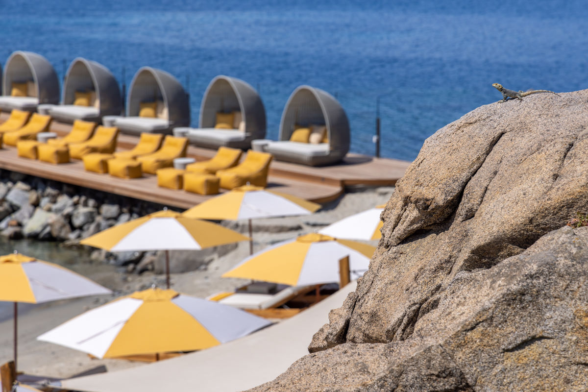 Discinctive yellow on our private beach 

#santamarinamykonos
#theluxurycollection
#marriottbonvoy 
#buddhabarbeachmykonos #mykonos #greece #marriott