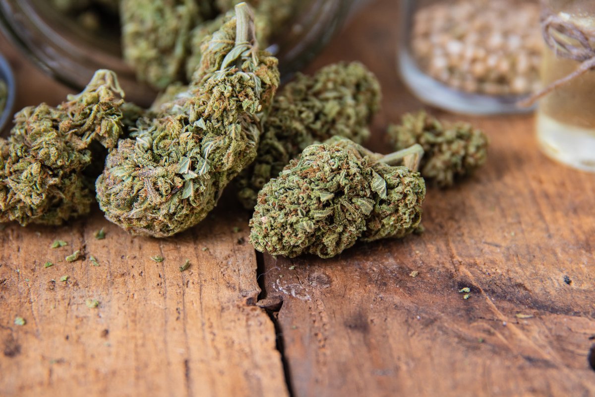 sojehemp's tweet photo. #SOJE Floral Blend combines premium, regeneratively-grown #hemp with other traditional Native smoking herbs like organically-grown #lavender, raspberry leaf, and echinacea. 
Order a pack of our floral hemp smokes here: https://t.co/h2THEvsdwJ

#SOJE #HempCigarettes #CBD https://t.co/FHLgsHQUJk
