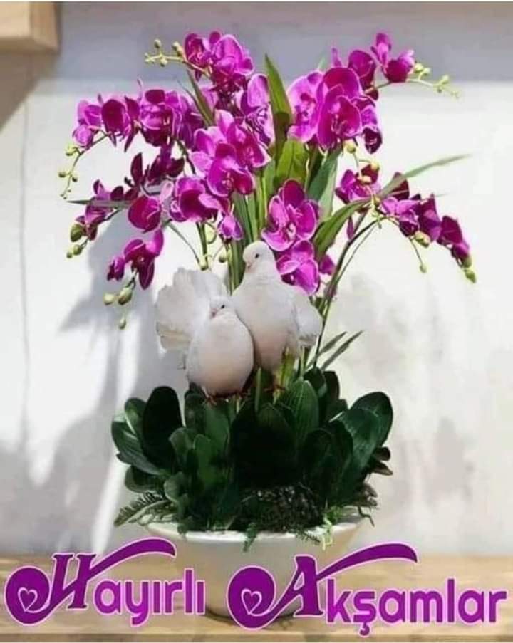 omer25can2525's tweet photo. #Aşk sofrasında
#Gönüle Hâr
#Çaya Dem
#Sevene Yâr
#Yâre Hemdem olmak yaraşır
#Vakti Çay
Afiyet Olsun
Hayırlı Akşamlar https://t.co/hwlwb1vapV