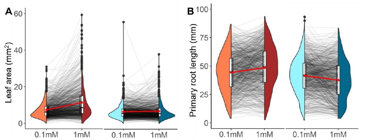 Genetic variation underlying differential ammonium and nitrate responses in Arabidopsis (Ella Katz <a href="/ellakatz1/">Ella Katz</a> Anna Knapp, Mariele Lensink, Caroline Kaley Keller, et al. @ucdavisplants) <a href="/ASPB/">ASPB</a> #PlantSci academic.oup.com/plcell/advance…