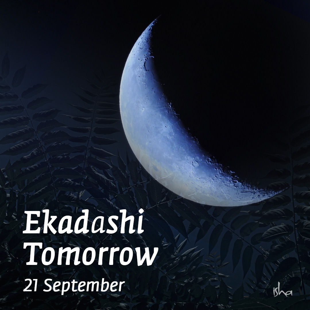 ishafoundation's tweet image. On the day of Ekadashi, which is the eleventh day after the new moon and full moon, it's ideal to go without food. This will purify the body, help one stay alert, and create a possibility for turning inwards. 
#Ekadashi #IntermittentFasting