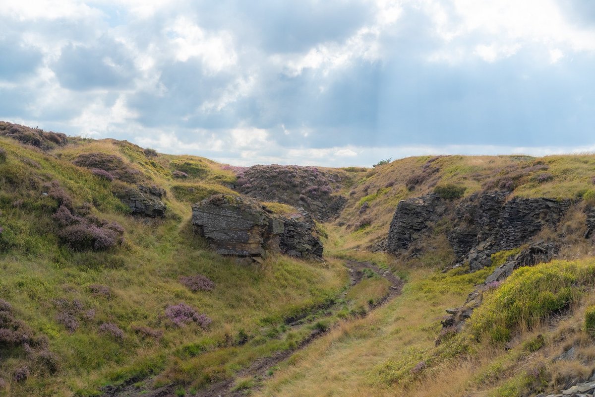 sam_morrey's tweet photo. Wandering Bradford’s Edgelands, Oxenhope moor. https://t.co/twQhEzXrz7