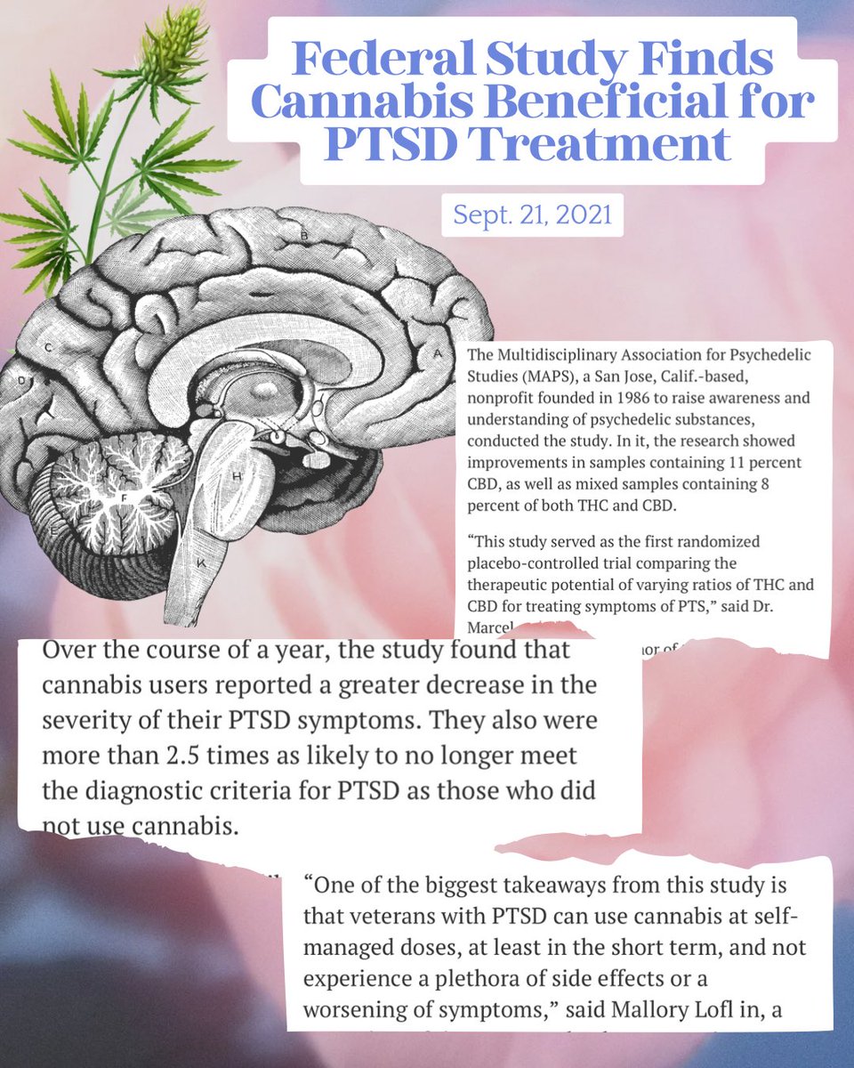 Stoner Chicks Podcast 🍃🐣 tweet media