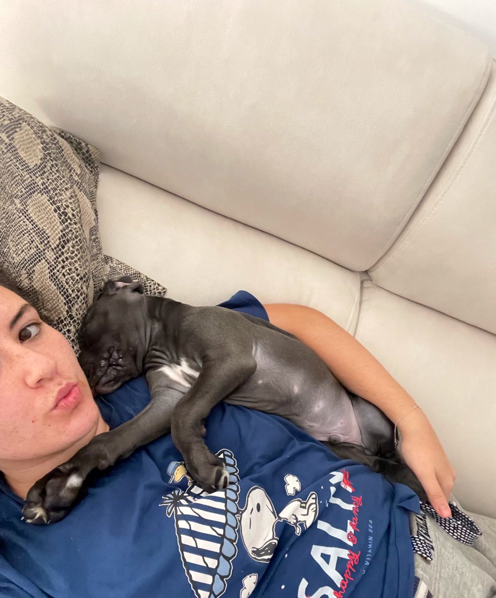 calerooo_'s tweet photo. Mi compi de siestas para toda la vida 🤍🥹🫶🏻 https://t.co/CqlNWbP1VO