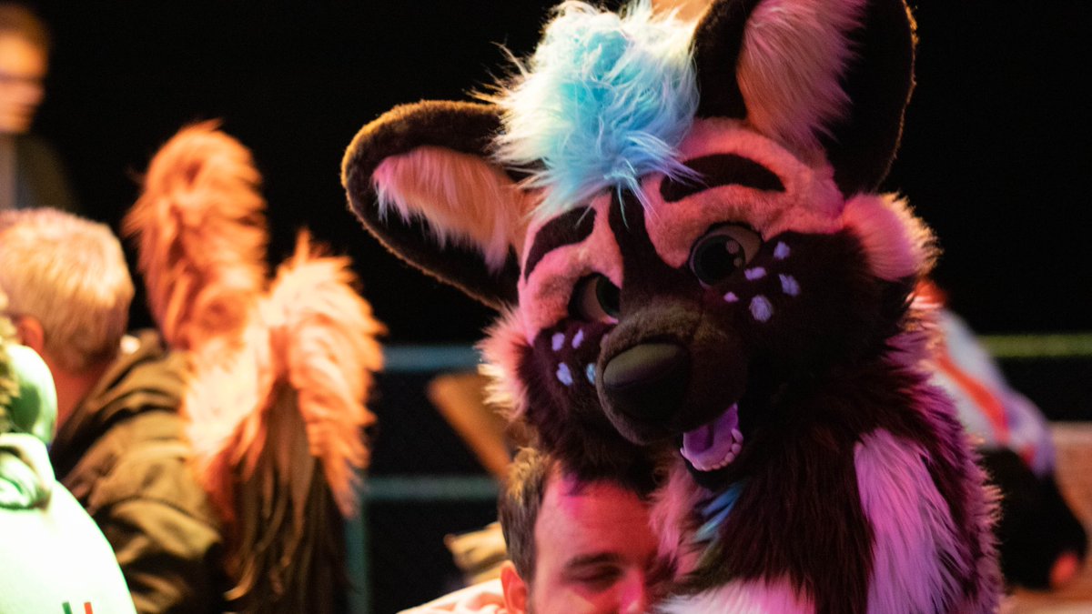 swiftawd's tweet photo. Just wait, I'll cuddle you next! >:3

Really had an awesome time @furgether!
Thanks to everybody involved ❤️

📸 @LoucasTheK9 
👔 @TheKarelia 

#Furgether https://t.co/Jf9YuF9J2n
