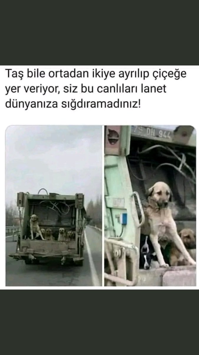 #KatilBelediyeler Ölüme götürüyorlar!!!