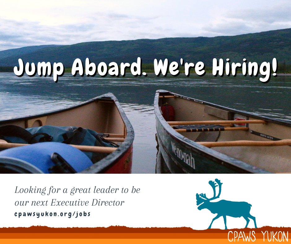 📢 @CPAWSYukon is #hiring an Executive Director to join our committed & passionate team advocating for the #Yukon's abundant nature! Apply by October 9th. cpawsyukon.org/jobs/executive… #Whitehorse #Conservation