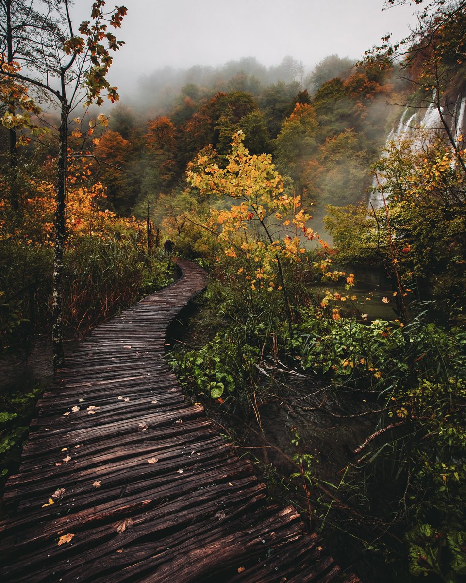 Autumn is here ❤️ gm