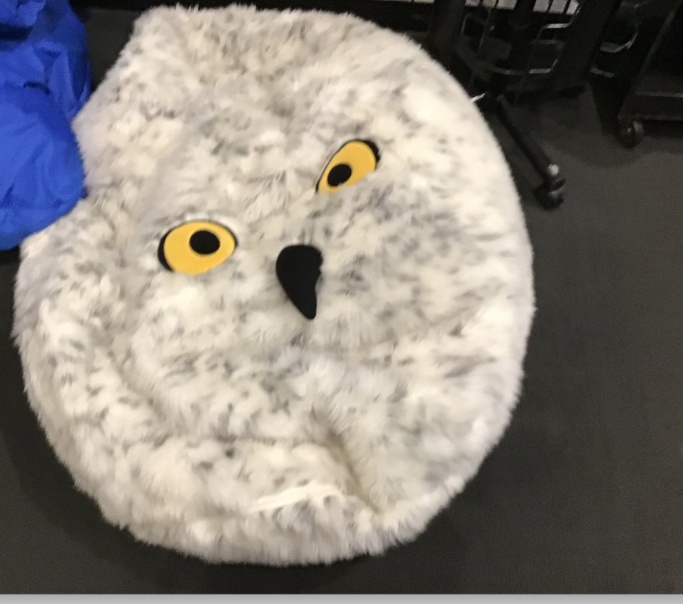 Scenes from 6th grade orientation...students taking pictures of library essentials and things they love about our Learning Commons in a photo scavenger hunt. <a href="/jimsweeney72/">Jim Sweeney</a> <a href="/paekcrystals/">Crystal Paek</a>