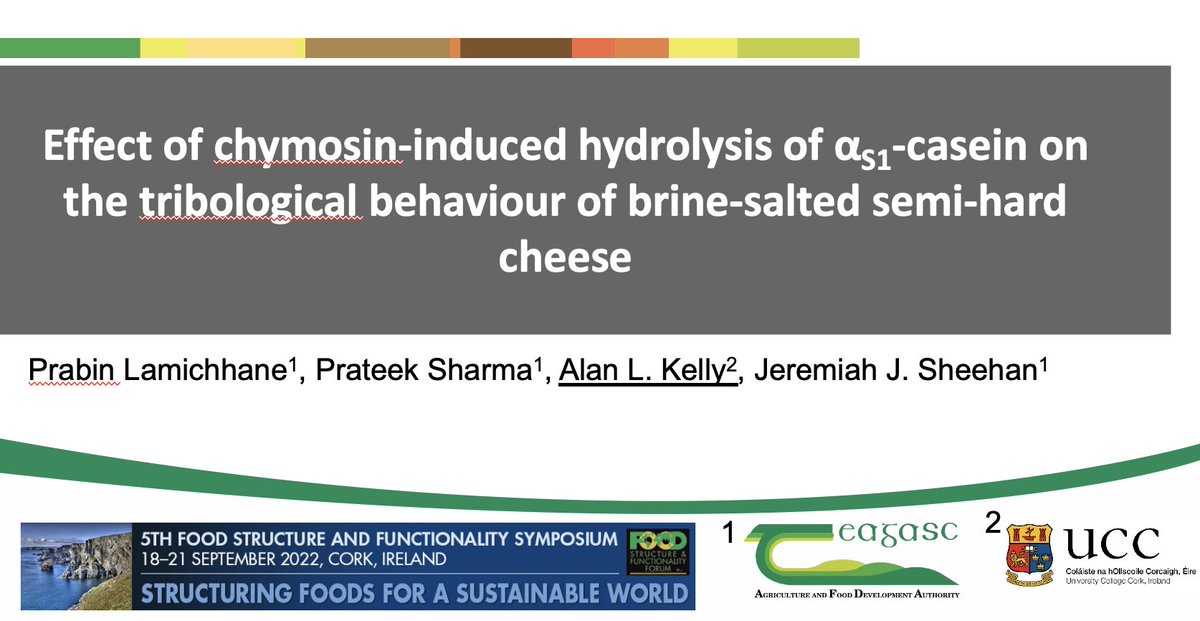 akellyucc's tweet photo. Does protein breakdown directly influence how we perceive properties like creaminess on eating cheese? Can we use novel methods to predict texture properties? Very happy to present this work with @TeagascFood collaborators at the #foodstructuresymposium today.@diumraid @fnsucc https://t.co/c9doocpfHR