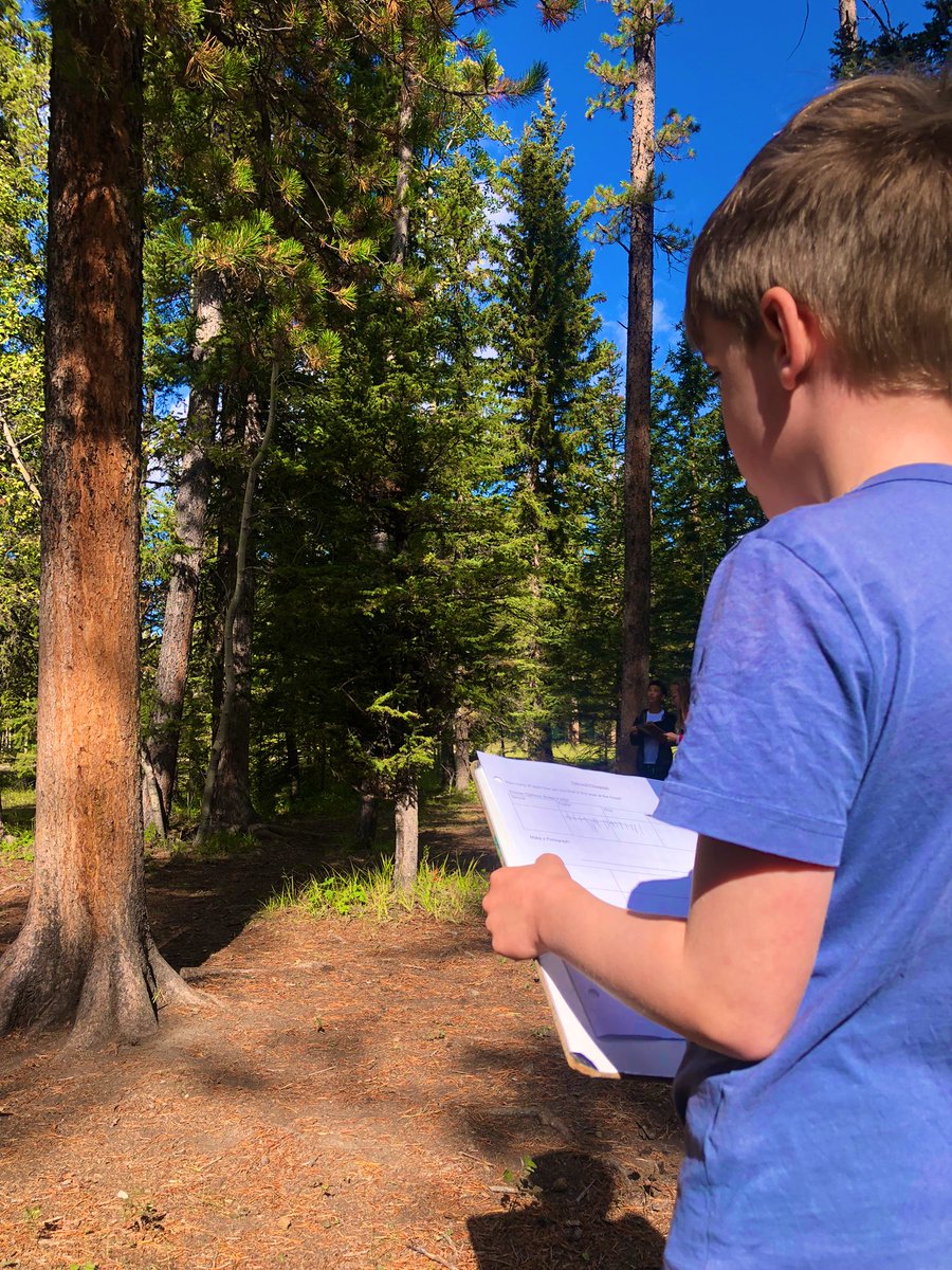 Let’s take math outside! Today we tallied types of trees found in our schoolyard and then made corresponding pictographs. #rvsed #abed