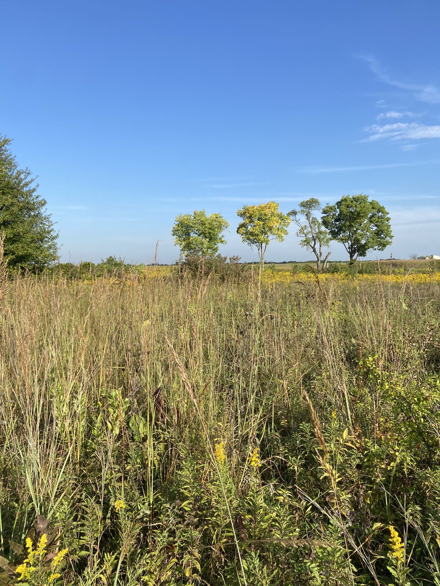 MsSvetich's tweet photo. Awesome time at Springbrook prairie and the DuPage river with AP environmental! AND I finally got the chance to learn from the legend @PVsteen https://t.co/7RCqtKcq1o