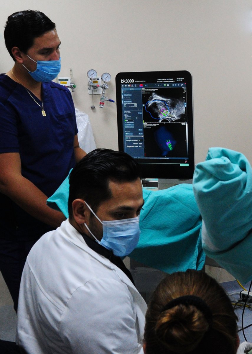 OPUS INCan tweet media