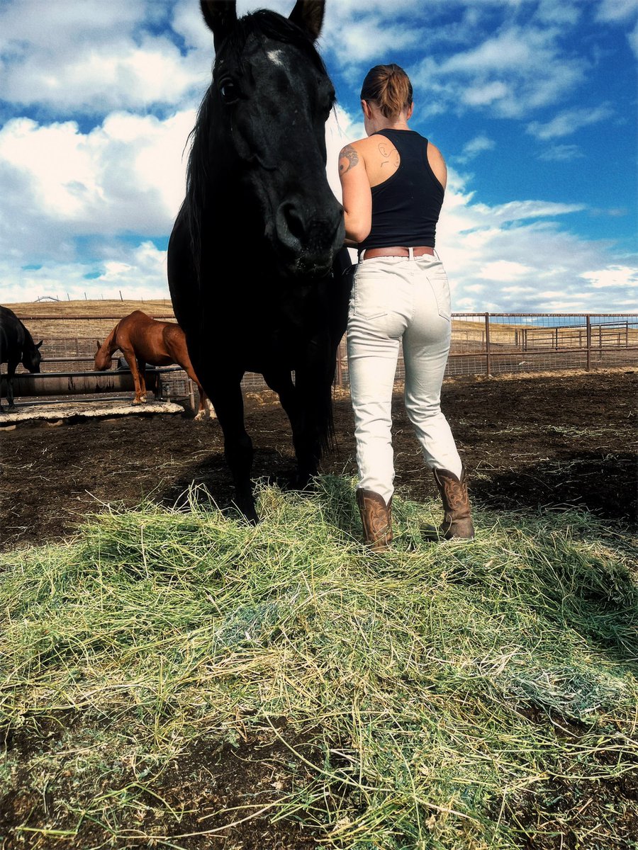 messygirl66's tweet photo. I love my gun powder 🤍 #countrygirl #horses #countyliving #onlyfans https://t.co/n9TV5lrhWH