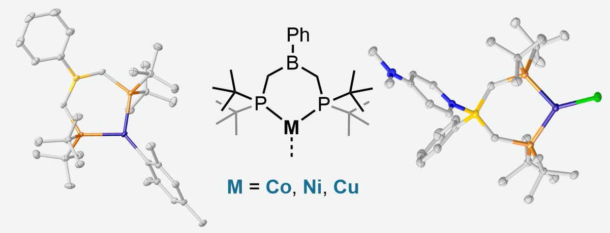 Tilley Group (@tdtilleygroup) on Twitter photo Celebrating our 100th <a href="/Orgmet_ACS/">Organometallics</a>: check out our latest with @therexasaur: pubs.acs.org/doi/10.1021/ac… Celebrating our 100th <a href="/Orgmet_ACS/">Organometallics</a>: check out our latest with @therexasaur: pubs.acs.org/doi/10.1021/ac…