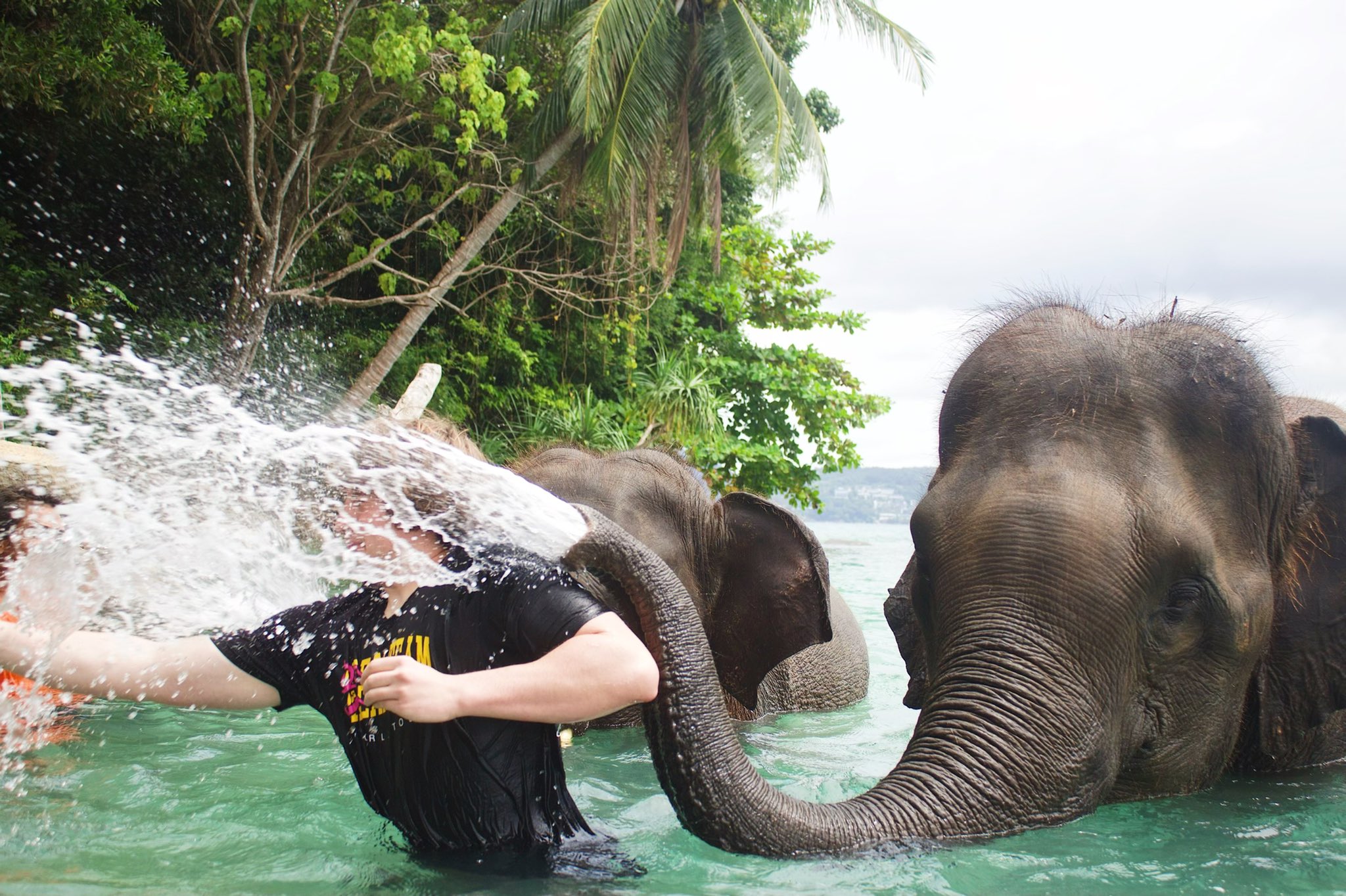 Matthew Beem on Twitter: “New video is live!! https://t.co/rk7oMAJerC