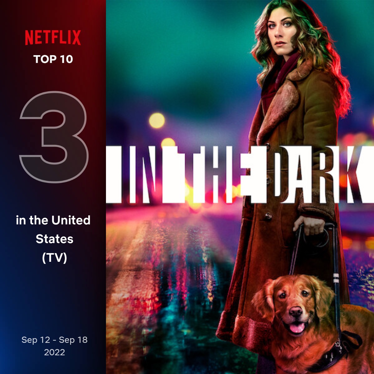 CWshows's tweet photo. 'IN THE DARK' was the 3rd most popular TV show on Netflix (U.S) last week. #InTheDark 🦮 https://t.co/m8Q8i62bj8