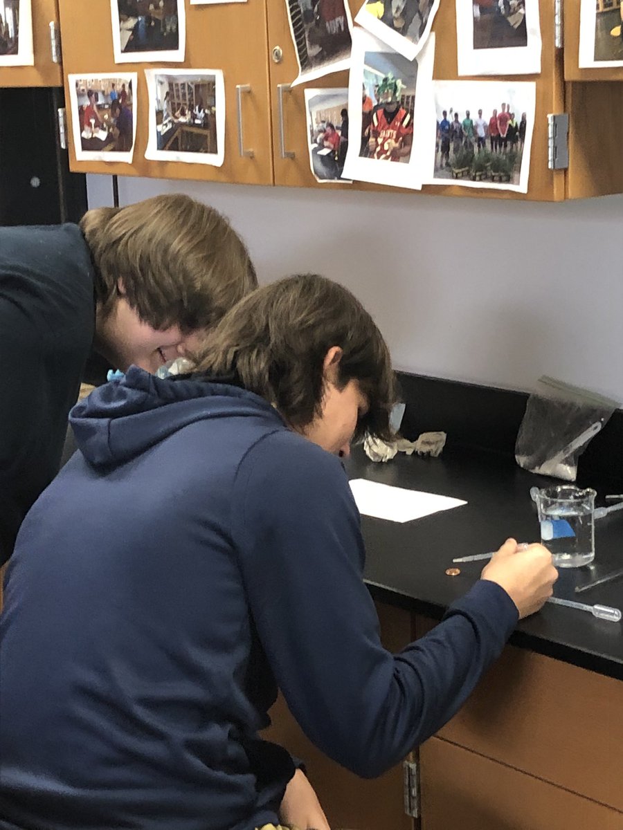 STMsrichards's tweet photo. Freshman bio explores the properties of water . https://t.co/FsdnTLKag5
