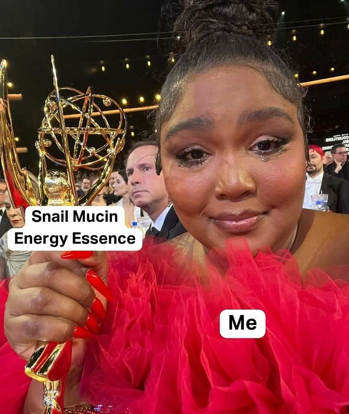 MBMBSkin's tweet photo. PREMIUM GLOW REQUIRES SNAIL SLIME MUCIN - #SnailSlime - Let me tell u d story of the snail! When God created d snail& d tortoise, He placed heavy burdens on their backs&to compensate for that..👇
Will Smith Kiekie Ckay Bella Shmurda Yahoo Shola Denzel Washington Laycon Deborah https://t.co/tTZhj6thnK