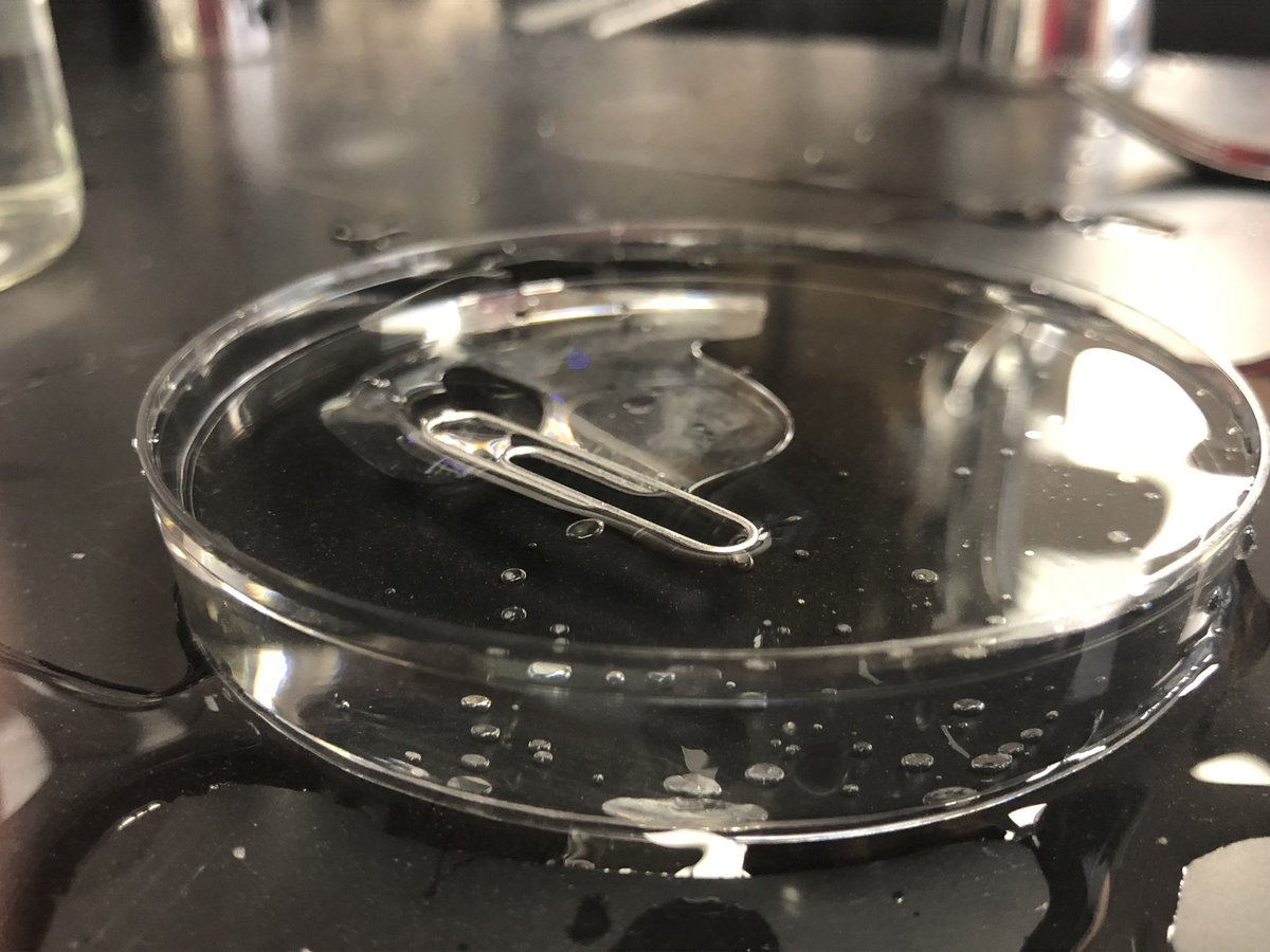 STMsrichards's tweet photo. Properties of water with freshman bio classes https://t.co/CbCqjfCye9