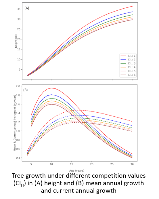 IRSS_UBC's tweet photo. ๐ข NEW PAPER! Estimating potential tree height in Pinus radiata plantations using #AirborneLaserScanning data
๐(#OpenAccess ): https://t.co/cawB3RmDOd
Research led by Ph.D. student Gonzalo Gavilรกn-Acuรฑa
@PiotrTompalski @ubcforestry #GrowthModels #TreeCompetition #LiDAR #ALS https://t.co/O4cAl9xXWJ