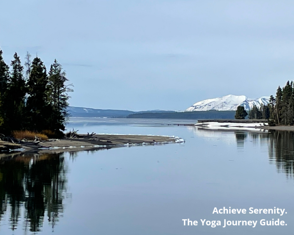 Atmarupa's tweet photo. What are you seeking to achieve? Let me know in comments! 

#yogajourneyguide #yogaforhealth #classicalyoga #asana #pranayama #meditation #yoganidra #pranavidya  #yogaphilosophy #yogapsychology #yogatherapy #yogaacharya #swamijitheogpodcast https://t.co/hzcqmzoHbK