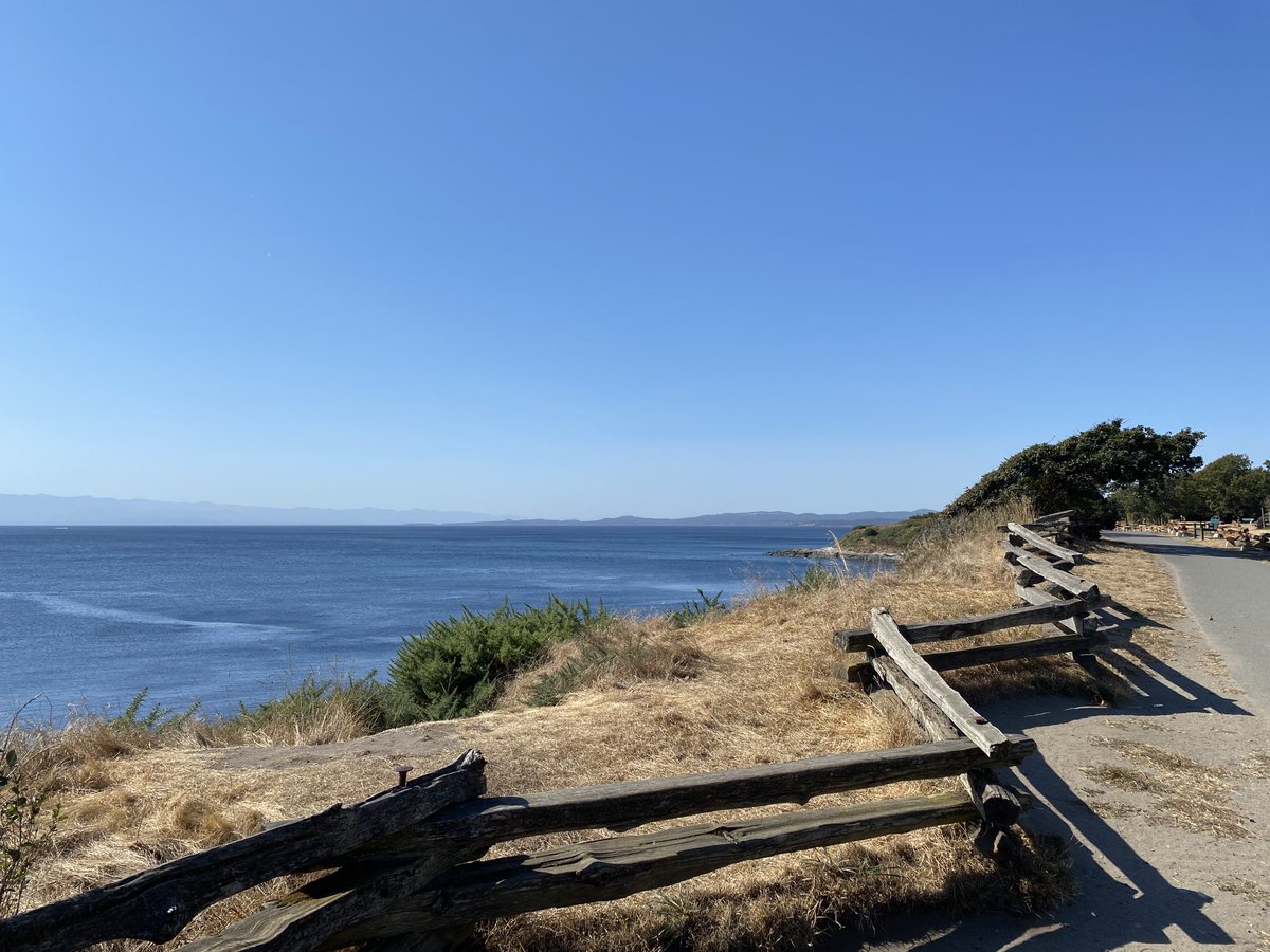 GraceALore's tweet image. What a beautiful day!

Another day I’m grateful to represent all my constituents, including trans, non binary, &amp;amp; gender queer folks across Victoria Beacon Hill.

#dyk there are more gender diverse people in here than anywhere else in Canada?

I’ll stand with them all day everyday