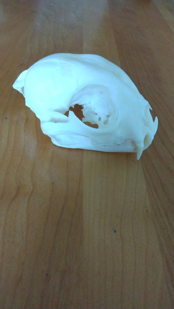 Dead Pine Collective tweet media