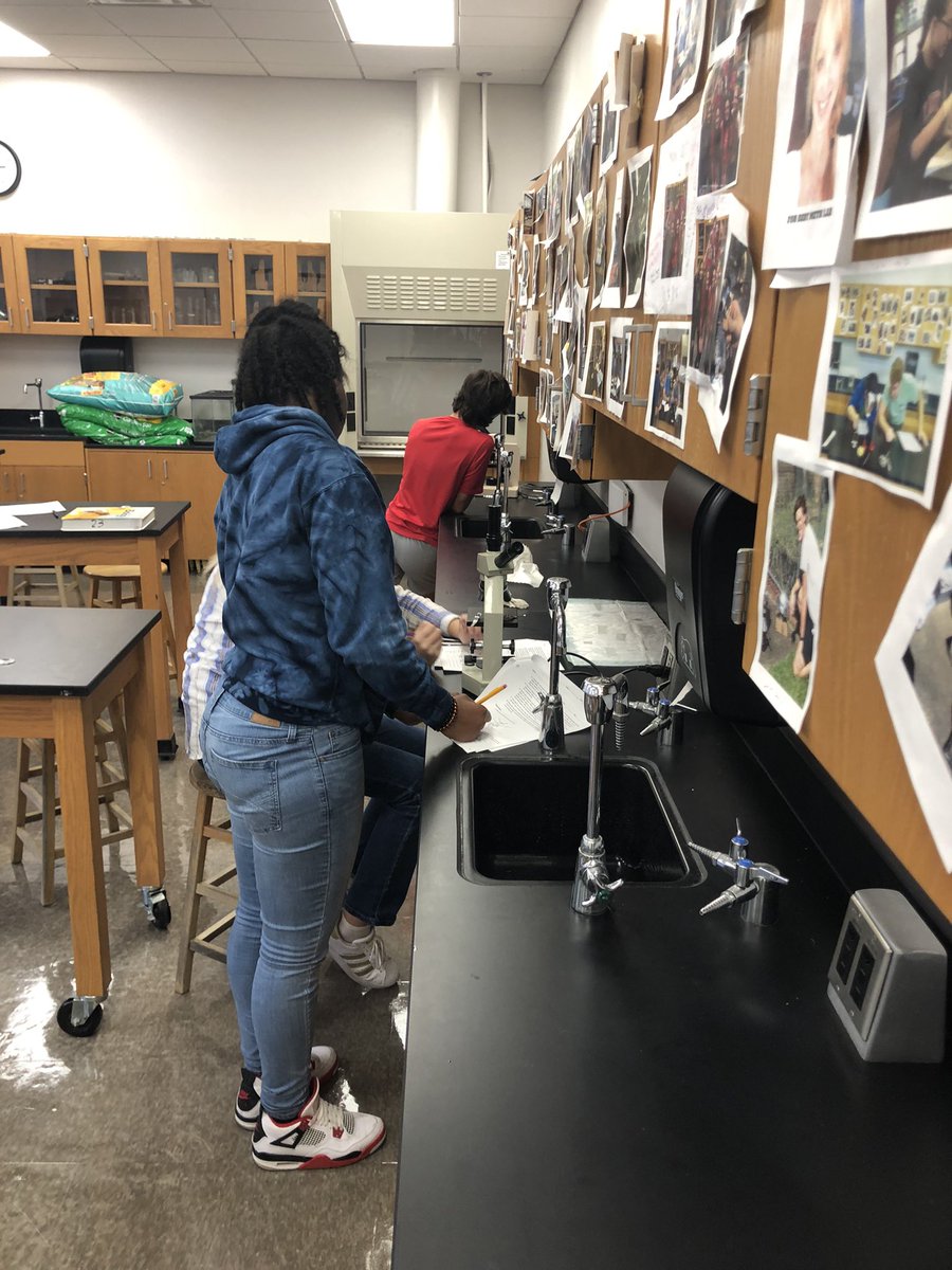 STMsrichards's tweet photo. Microscope labs to refresh their memory on how to use a microscope 🔬 https://t.co/swzY57jfEy