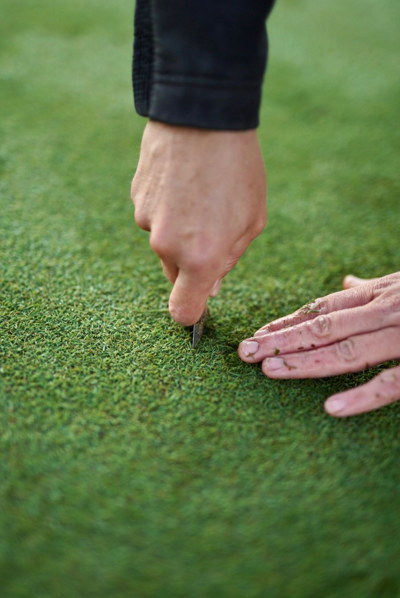 ItalianOpen's tweet photo. Artisti del green 💚

Grazie a tutti i greenkeepers del @marcosimonegolf  🥰 https://t.co/TOFPUTesQv