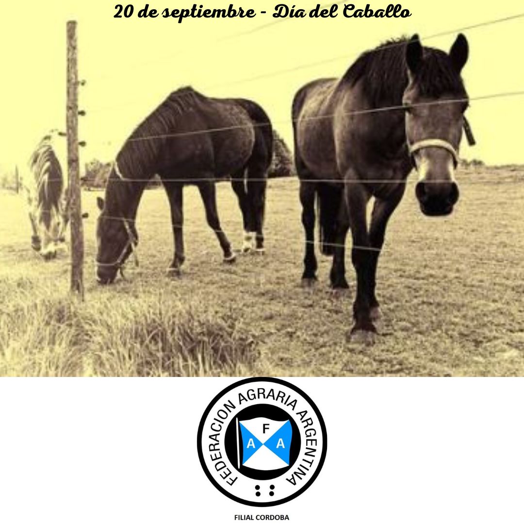 FAFilialCba's tweet photo. El Día del Caballo, que se celebra el 20 de septiembre,  
tiene como objetivo principal reconocer la importancia de este animal en la historia del país como "homenaje a la participación del equino en la organización histórica y económica, y en la vida deportiva de la Argentina". https://t.co/0xaqCuifBP