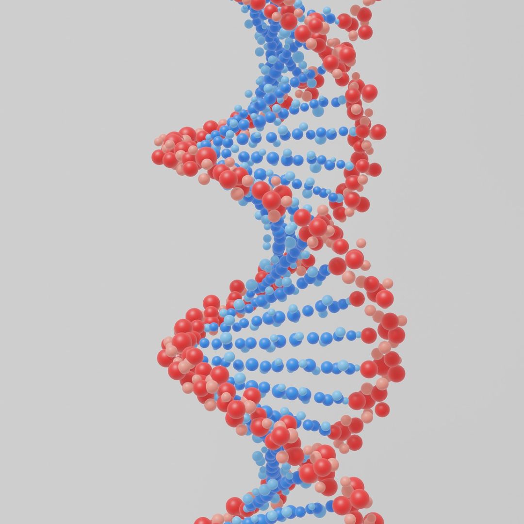 PrenatalGenlab's tweet photo. Some conditions, like obesity and alcoholism, are not solely determined by genetics. To better understand these phenomena, one has to delve into epigenetics.

Learn More: https://t.co/KxhOySeWwm

#prenataltest #epigenetics #prenatalDNAtest https://t.co/fLHZe0KkjG
