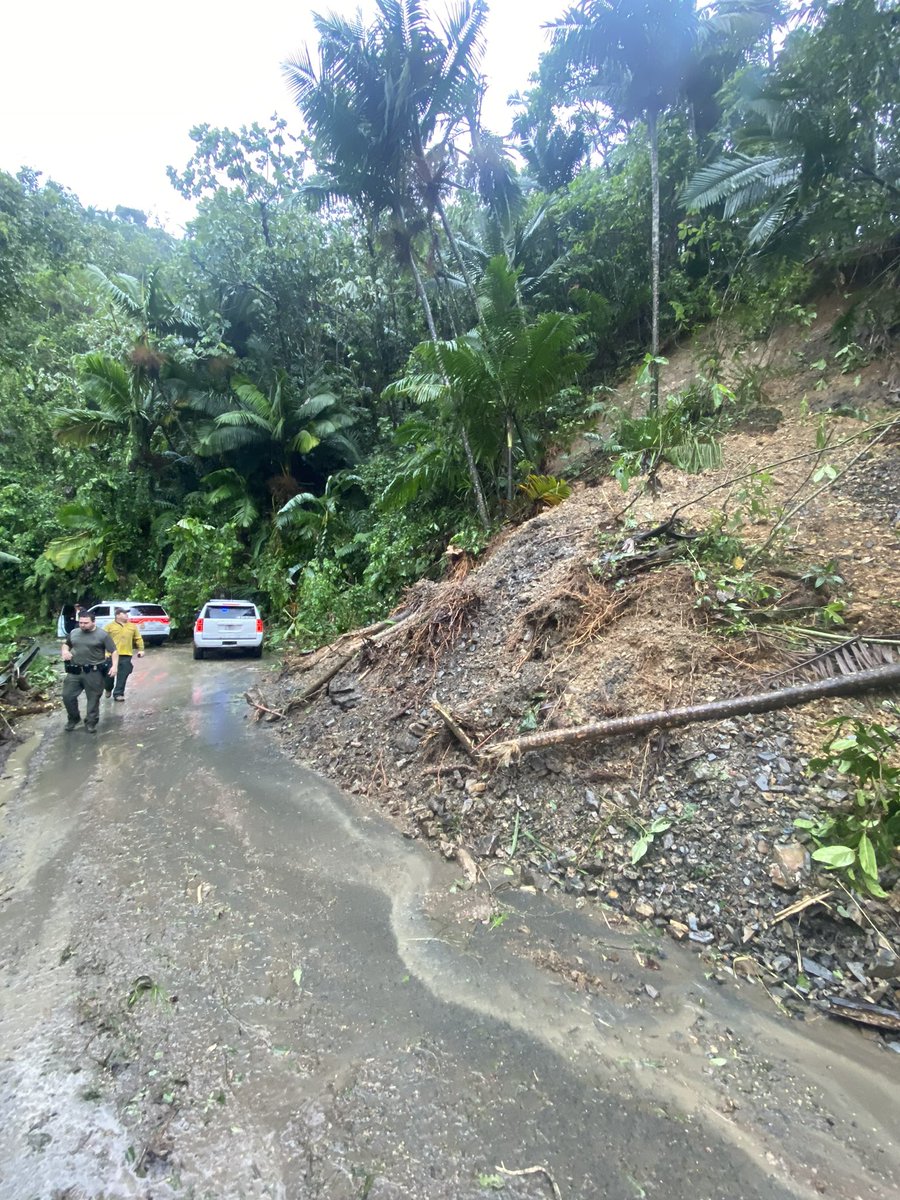 ElYunqueNF's tweet photo. Estamos evaluando los daños en El Yunque. Hay tres derrumbes activos en el área recreativa de la PR 191. El Portal NO fue severamente impactado. Hoy estaremos despejando caminos y veredas para poder evaluar mejor los daños. Reabriremos cuando sea seguro. https://t.co/NNaWsWtUVC
