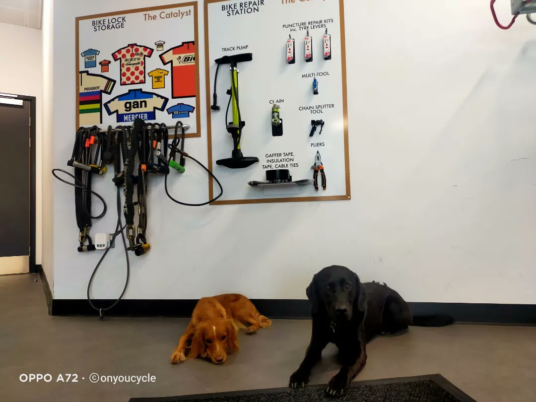 onyoucycle tweet media