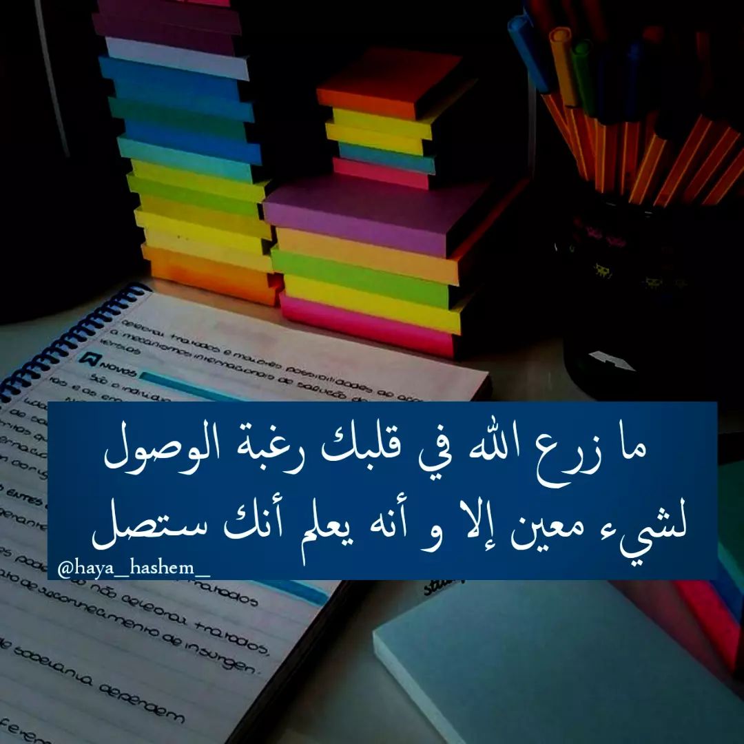 Yara Fathi (@yarafathi1532) on Twitter photo 