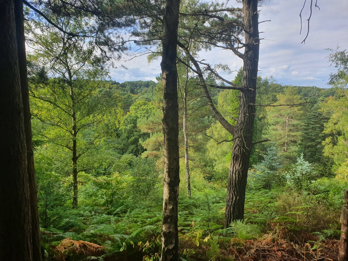Lovely afternoon stroll around the Lost Gardens of Sevenoaks
