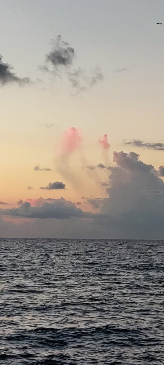 chelliebeach954's tweet photo. More #JustClouds #HiSky #EyesToTheSkies https://t.co/596JU1v5J8