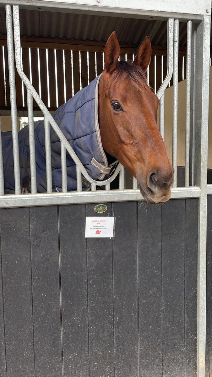 ChloeSH07's tweet photo. Lovely to see Une De La Seniere run a better race today coming a never nearer 2nd. #Frenchy #UDLS #VivaLaSeniere https://t.co/wv3Uuf2nTt