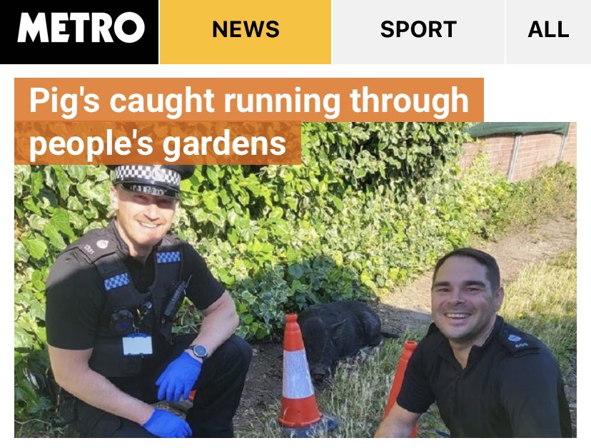 NoContextBrits's tweet photo. I think they prefer the term ‘police officers’. https://t.co/M8nUPIYpo7