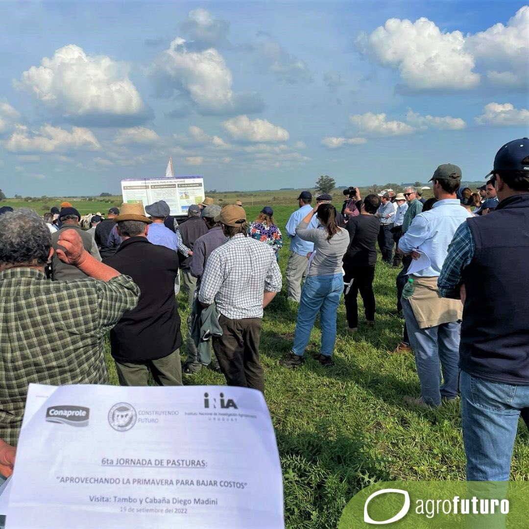 AgrofuturoSA's tweet photo. Agrofuturo acompañando a @_splf , @Conaprole e @INIA_UY en esta gran actividad que tuvo a “El Pasto” en el centro de la escena. Gracias @AndresCutu por la invitación y a la familia Madini por recibirnos.🙌🌱🍀 

#pasto #lecheria #ganadería #pasturas #forraje #campo #productores https://t.co/yUUi8UIENt