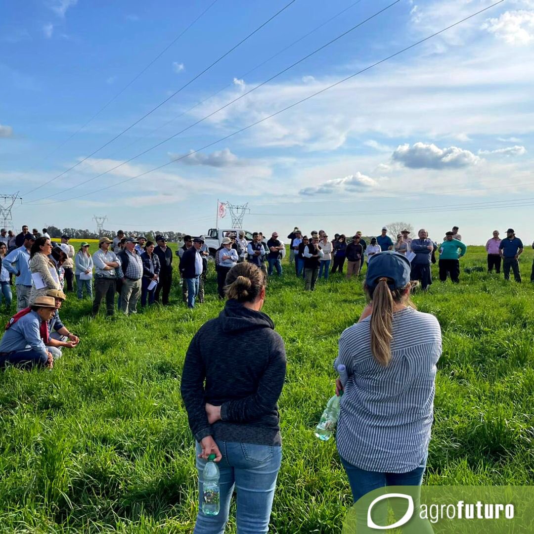 AgrofuturoSA's tweet photo. Agrofuturo acompañando a @_splf , @Conaprole e @INIA_UY en esta gran actividad que tuvo a “El Pasto” en el centro de la escena. Gracias @AndresCutu por la invitación y a la familia Madini por recibirnos.🙌🌱🍀 

#pasto #lecheria #ganadería #pasturas #forraje #campo #productores https://t.co/yUUi8UIENt