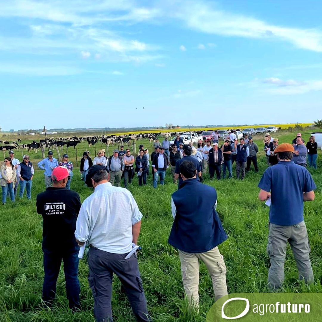 AgrofuturoSA's tweet photo. Agrofuturo acompañando a @_splf , @Conaprole e @INIA_UY en esta gran actividad que tuvo a “El Pasto” en el centro de la escena. Gracias @AndresCutu por la invitación y a la familia Madini por recibirnos.🙌🌱🍀 

#pasto #lecheria #ganadería #pasturas #forraje #campo #productores https://t.co/yUUi8UIENt