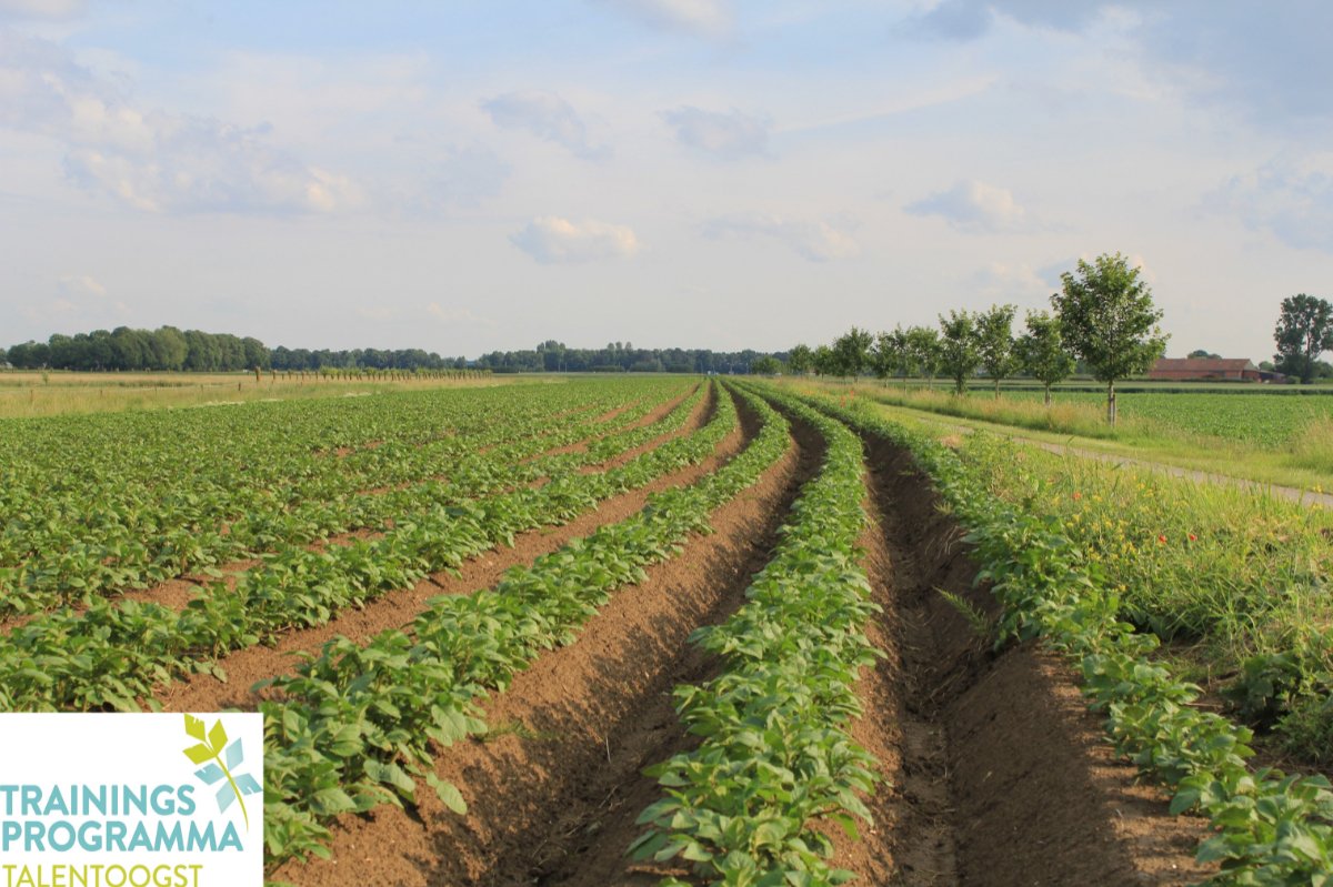 De 𝗢𝗽𝗹𝗲𝗶𝗱𝗶𝗻𝗴 𝗢𝗻𝗱𝗲𝗿𝗻𝗲𝗺𝗲𝗻 𝗶𝗻 𝗱𝗲 𝗮𝗸𝗸𝗲𝗿𝗯𝗼𝘂𝘄 𝗶𝗻 𝟮𝟬𝟯𝟬 start in november! 
➡️ Noord (Dronten): 9 november 2022
➡️ Zuid (Bergen op Zoom): 17 november 2022
Info over inschrijven en korting via Trainingsprogramma Talentoogst: bit.ly/3xDkHbC