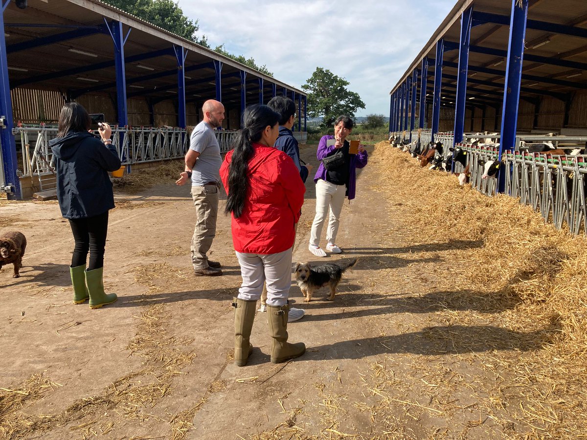 AHDB_Dairy's tweet photo. Enjoyed hosting a delegation from the Japanese dairy industry last week including visits to two of our #strategicfarms

Thanks to @clovermad @GGIILLOO for showing them around. https://t.co/0yz7hCexxt