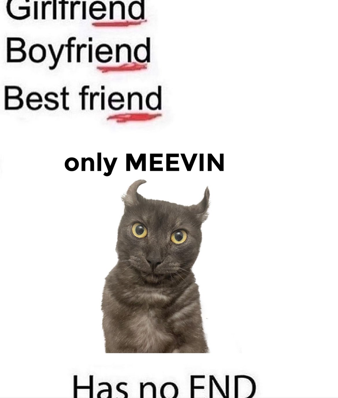 Meevin memes on Twitter: 