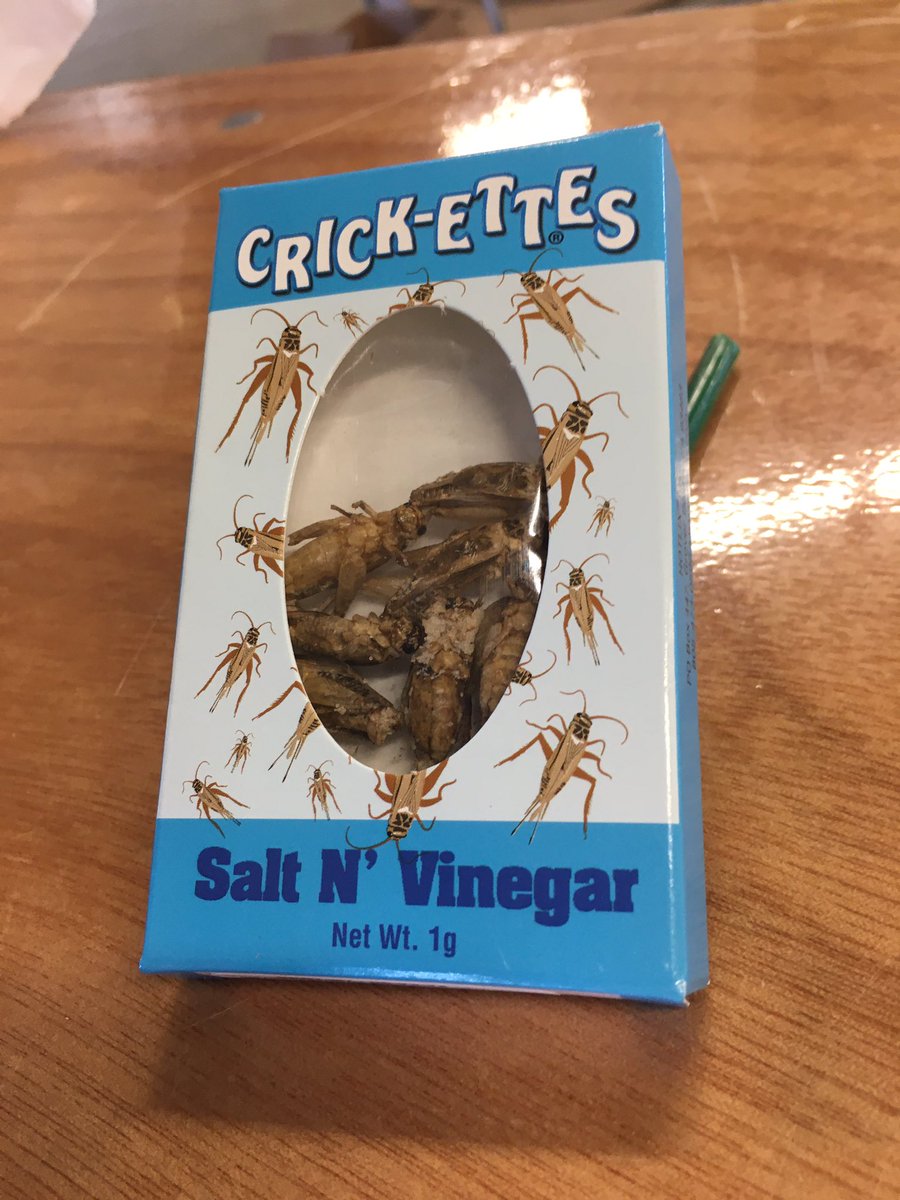 Kay Shipman tweet media