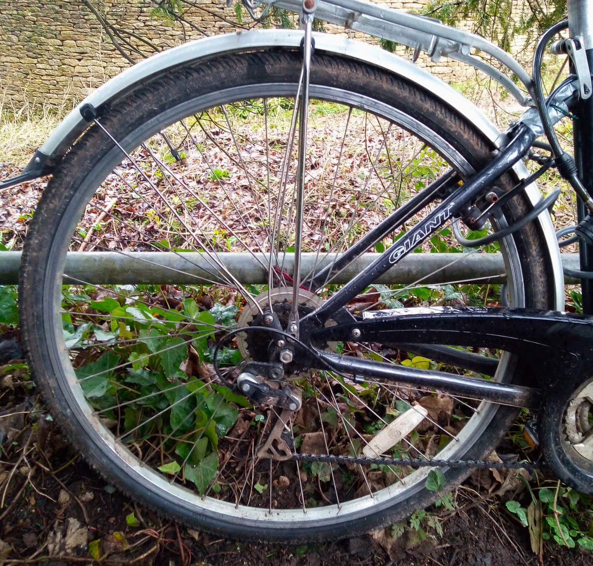 CanMinch's tweet photo. Hey #Stroud do you 💚#bikes?
#cycles #bmx #cargobike #ebike #velo #mtb #roadbike?
Things generally with 1 saddle & 2 wheels?
#minchCANtrail features #StroudBikeJumble, bike-powered apple-press, bike generator & #BikeDrop!
Plus Ark is on the route.
Come. Eat cake. Ride. 🚴🏾 https://t.co/Wp38kdcgVD
